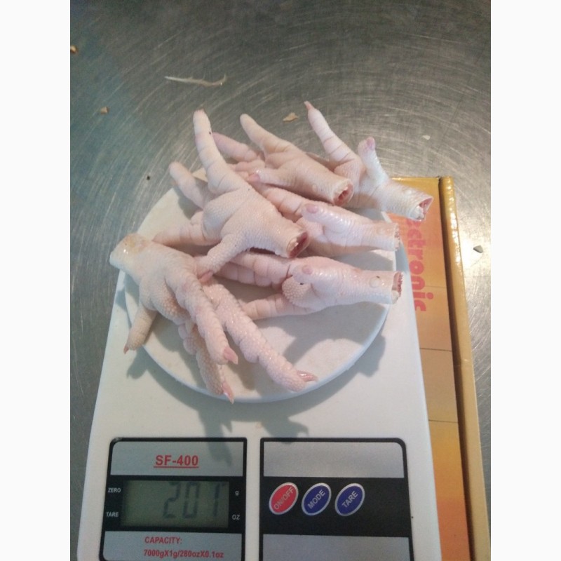 Фото 5. Замороженная куриная лапа класса А на экспорт / Frozen Chicken Paws Grade A for export