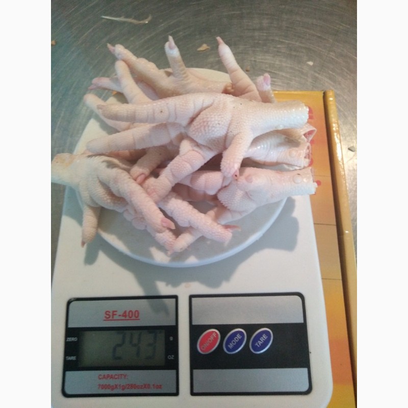 Фото 6. Замороженная куриная лапа класса А на экспорт / Frozen Chicken Paws Grade A for export