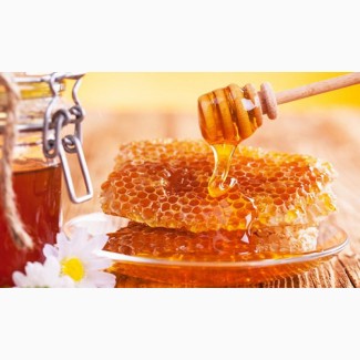 Продам мед майский, подсолнух, разнотравье, подсолнух