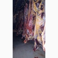 Есть покупатели говяжьи полу туши, блочку и другую продукцию