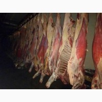 Есть покупатели говяжьи полу туши, блочку и другую продукцию