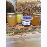 Продам мед акацієвий, з гречки та лісового різнотравя та різнотрав#039;я з соняшником