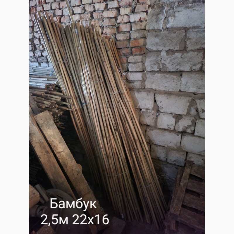 Фото 4. Продам бамбук 3м, 2, 5м, 1м