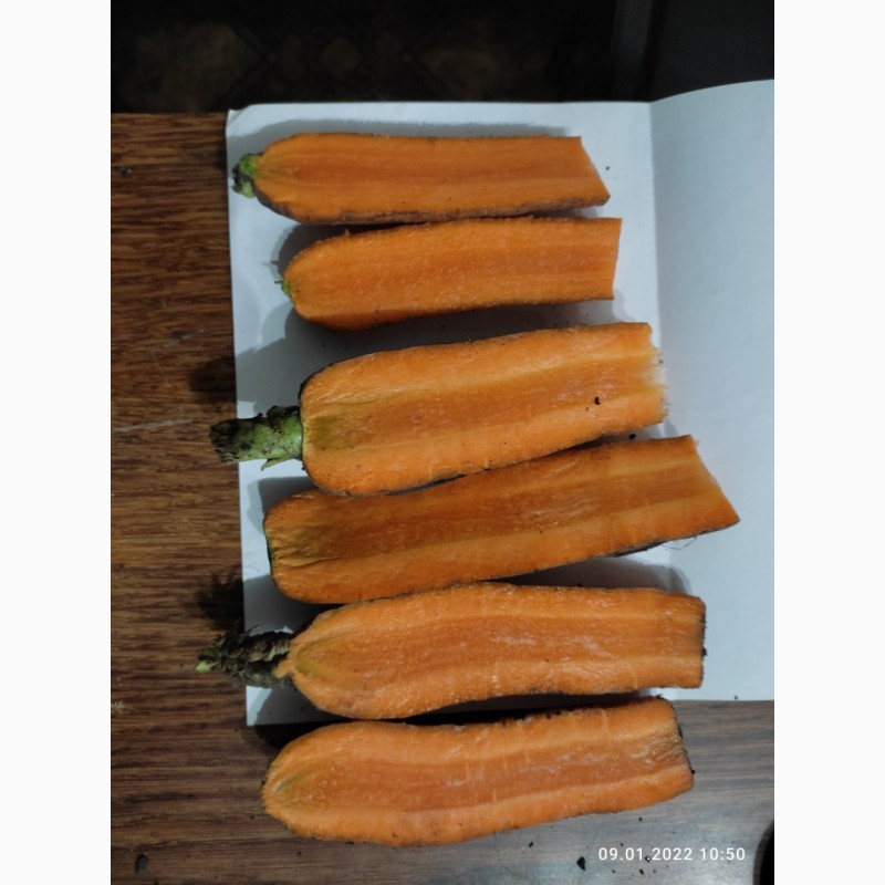 Фото 2. Продам моркоаь
