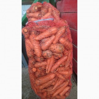 Гуртовий продаж товарної моркви, Черкаська область