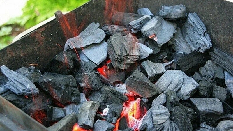 Фото 3. Древесный уголь из дуба, ясеня