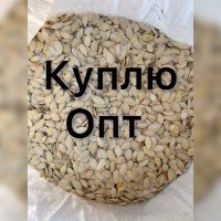 Купимо Гарбузове насіння всіх сортів