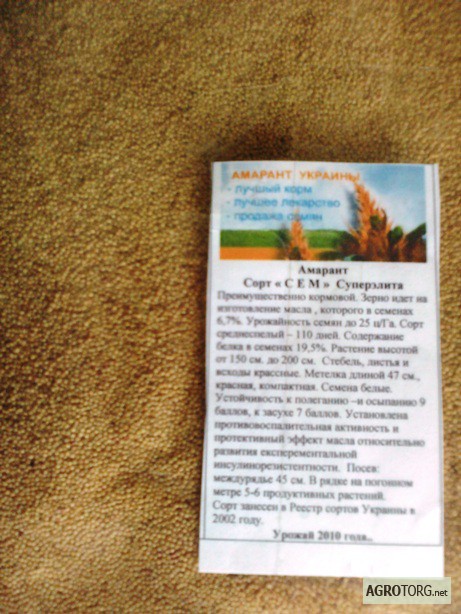 Фото 3. Продам семена амаранта урожая 2010 года