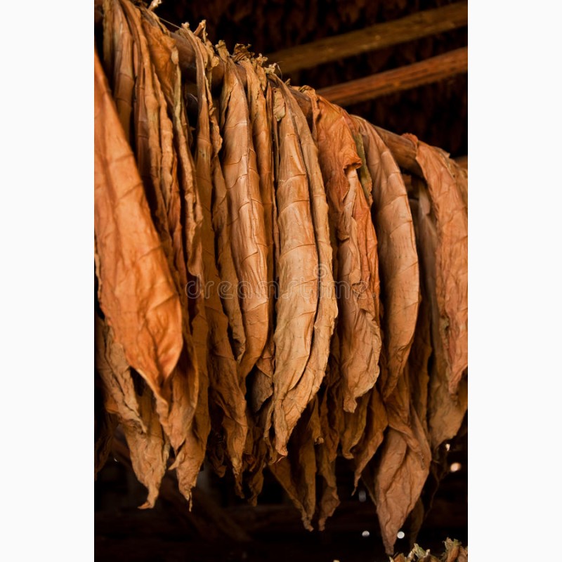 Фото 3. Табак для трубки боливийский криола блек