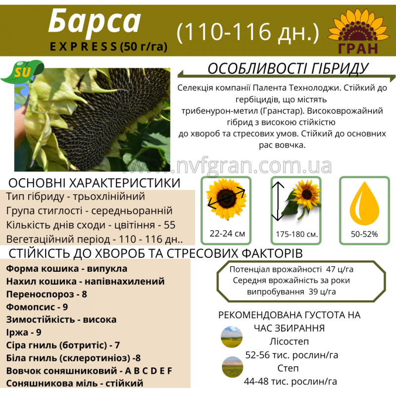 Фото 3. Якісне насіння соняшника Української селекції!!! Вдале поєднання ціни і якості
