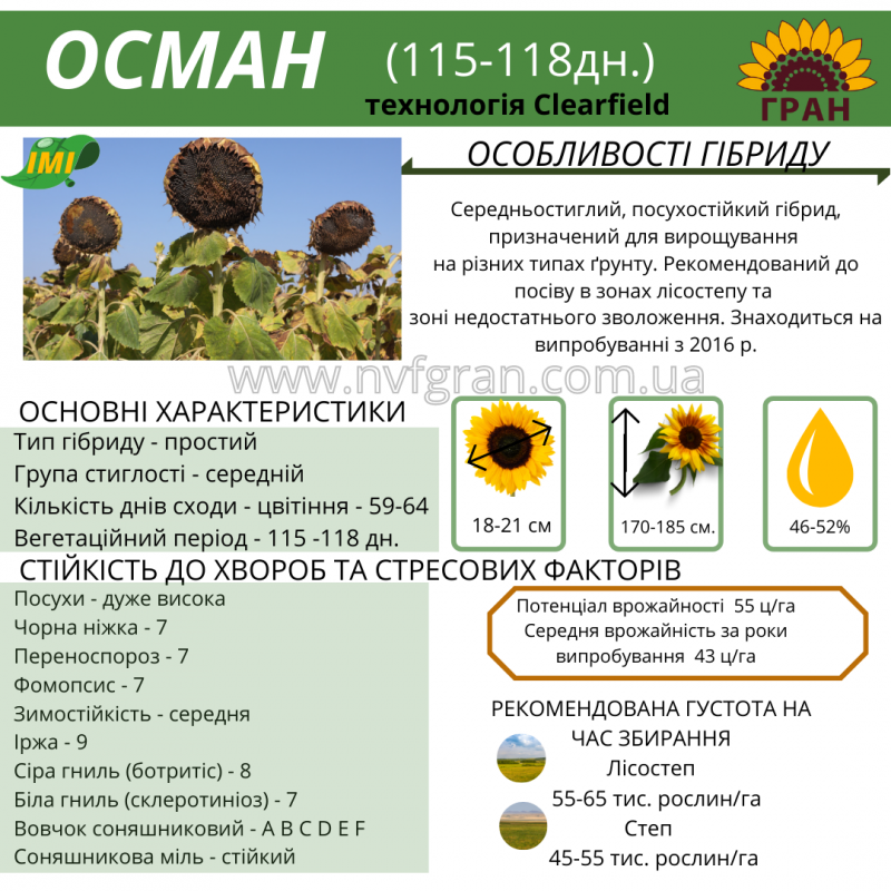 Фото 7. Якісне насіння соняшника Української селекції!!! Вдале поєднання ціни і якості