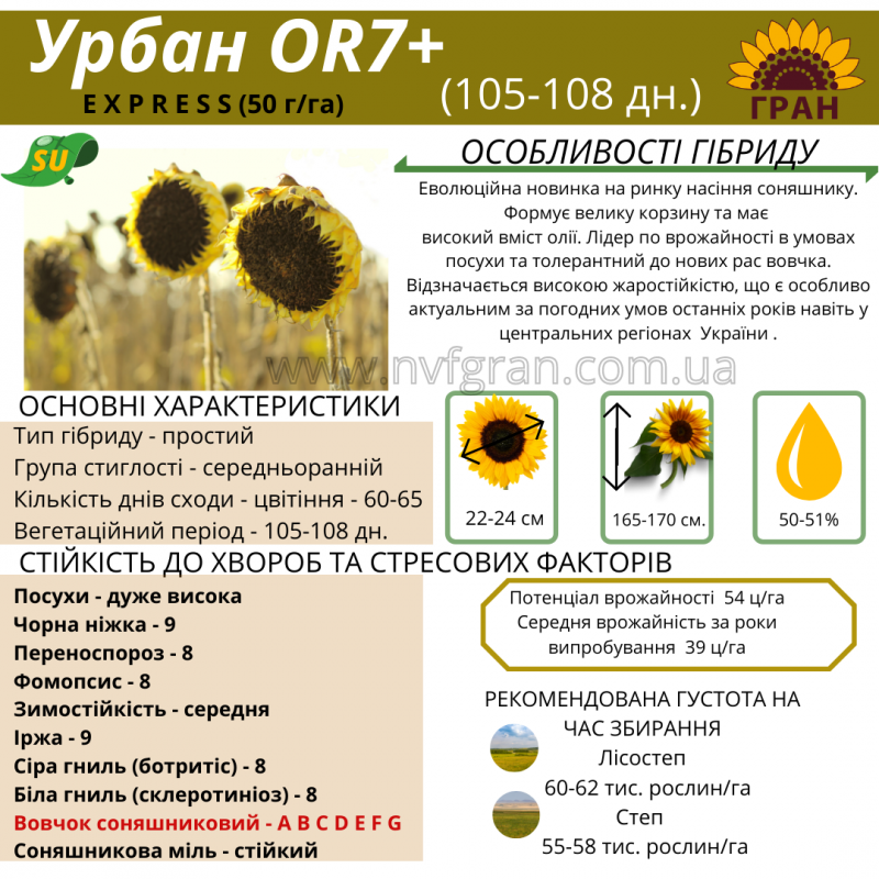 Фото 9. Якісне насіння соняшника Української селекції!!! Вдале поєднання ціни і якості