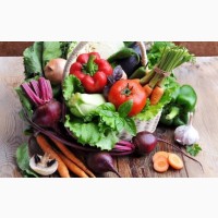 ПРОДАЕМ/ВЫРАЩИВАЕМ овощи сетевого качества в обьеме