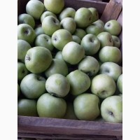Продам яблука та груші різних сорті