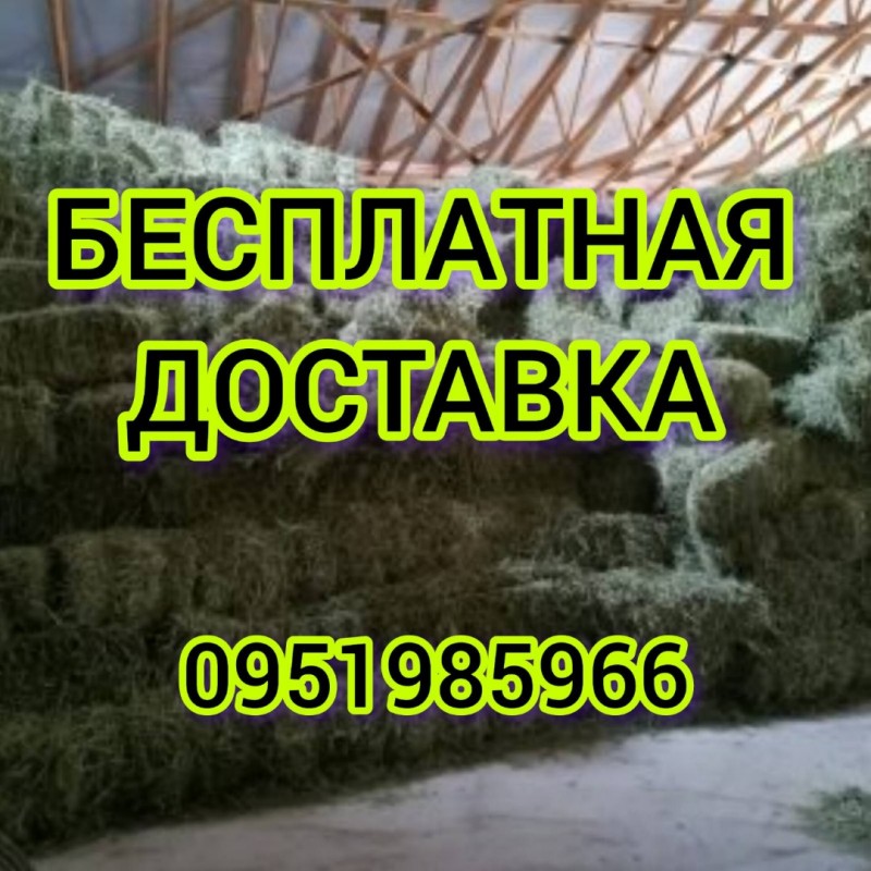 Фото 4. Люцерна, луговое сено, солома с бесплатной доставкой. Поштучная продажа, оптовая