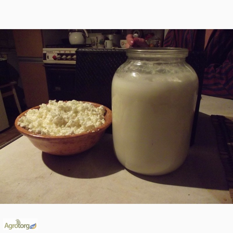 Фото 3. Козье молоко и козий жир (козье масло)