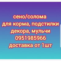 ЕСТЬ В НАЛИЧИИ! Сено, солома, люцерна. Доставка БЕСПЛАТНАЯ