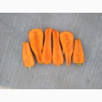 Продам моркву 2 с