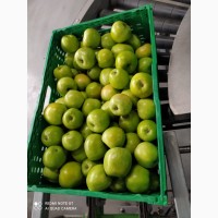 Продам яблука від виробника