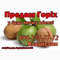 Продам горіх Великим та дрібним оптом!Урожай 2021 року!!!Висока якість