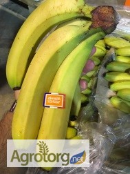 Фото 2. Продаем бананы