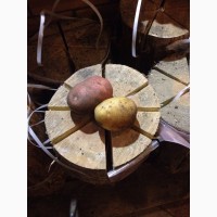 Картофель картошка картопля Черкассы