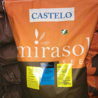 MIRASOL семена лицензия. Sirocco, Castelo, Hipersol