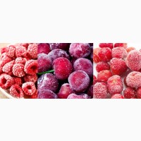 Охолодження та заморозка овочів та фруктів
