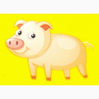 Продам свиней 120-160 кг, мясні, продаж свиней живою вагою