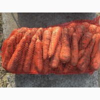 Продам оптом морковь Романс