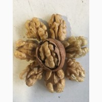 Продаём ядро грецкого ореха, урожая 2018 года