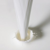 Сушка молока, сушилка для молока, сушить молоко