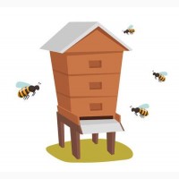 Продаю бджоли