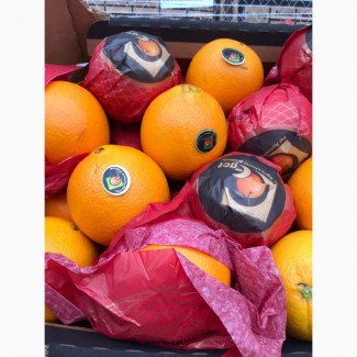 Продаем свежий апельсин Навел