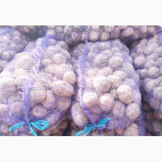 Продам товарну картоплю білих та рожевих сортів від 5 тонн тільки опт