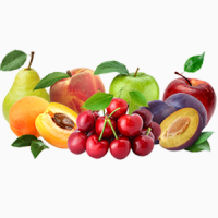 Продам саджанці плодових дерев та кущів (предзамовлення на осінь)