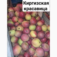 Продам сладкие сочные груши со своего сада