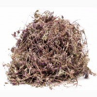 Чабрец (тимьян) (трава) фасовка от 100 грамм - 1 кг