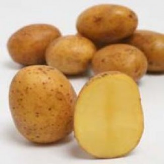 Картофель сорт Аннушка сверхранний 1 репродукция, 3 кг, сетка