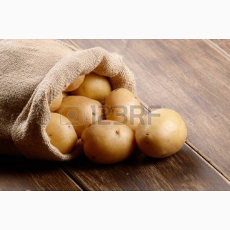 Продам картофель оптом из песка, доставляем по всей Украине