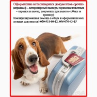 Оформлення ветеринарних та дозвільних документів для вашого улюбленця, Харків