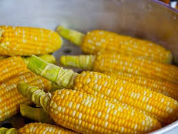 Фото 2. Крупнооптовая закупка кукурузы