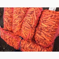 Продам морковь свежий
