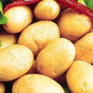 Картофель продовольственный и семенной оптом