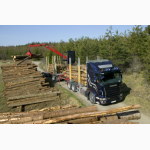 Надаємо послуги із перевезення лісу лісовозом