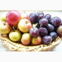 Отменного качества продадим яблоки, малину и сливы