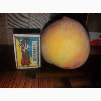 Продам саджанці персика Топ Світ
