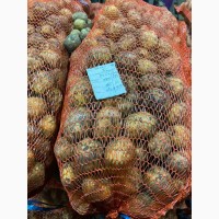 Продажам Семенного картофеля. Ривера, Аризона, Белла Росса