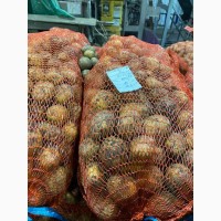 Продажам Семенного картофеля. Ривера, Аризона, Белла Росса