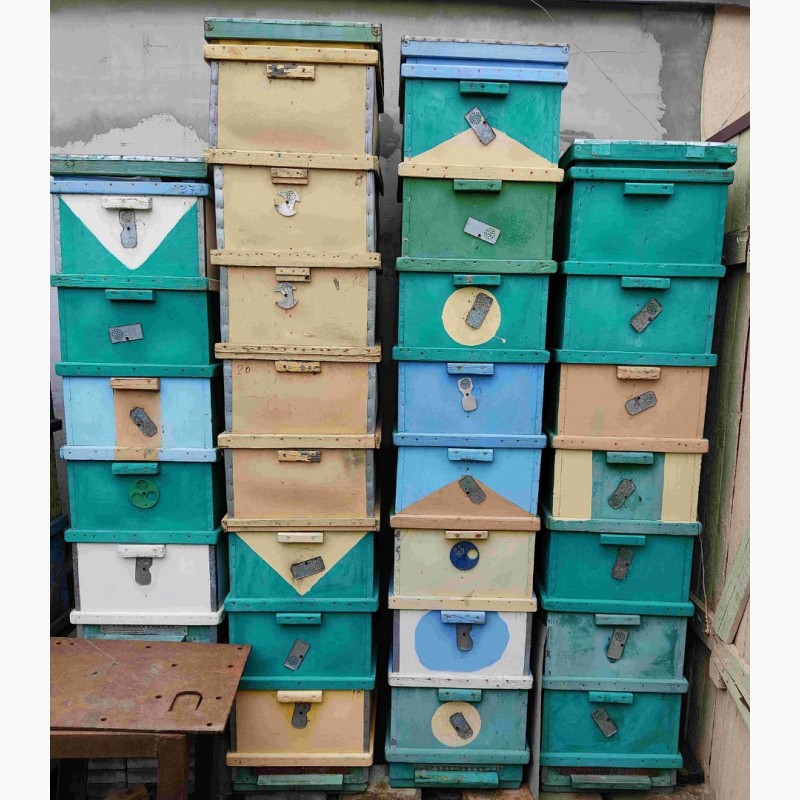 Фото 2. Вулики для бджіл на рамку Рута, пасіка, рамки